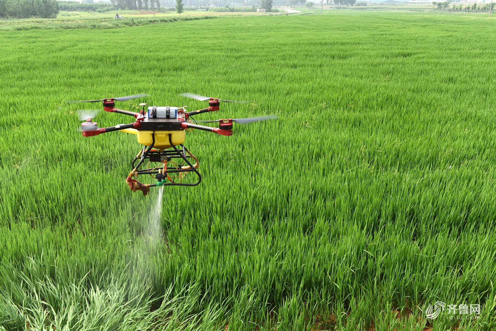 無(wú)人機(jī)打農(nóng)藥，這是把雙刃劍！